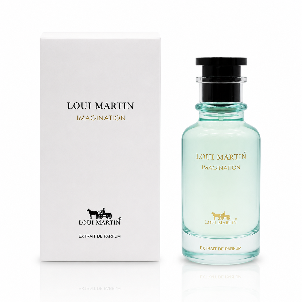Imagination - Loui Martin